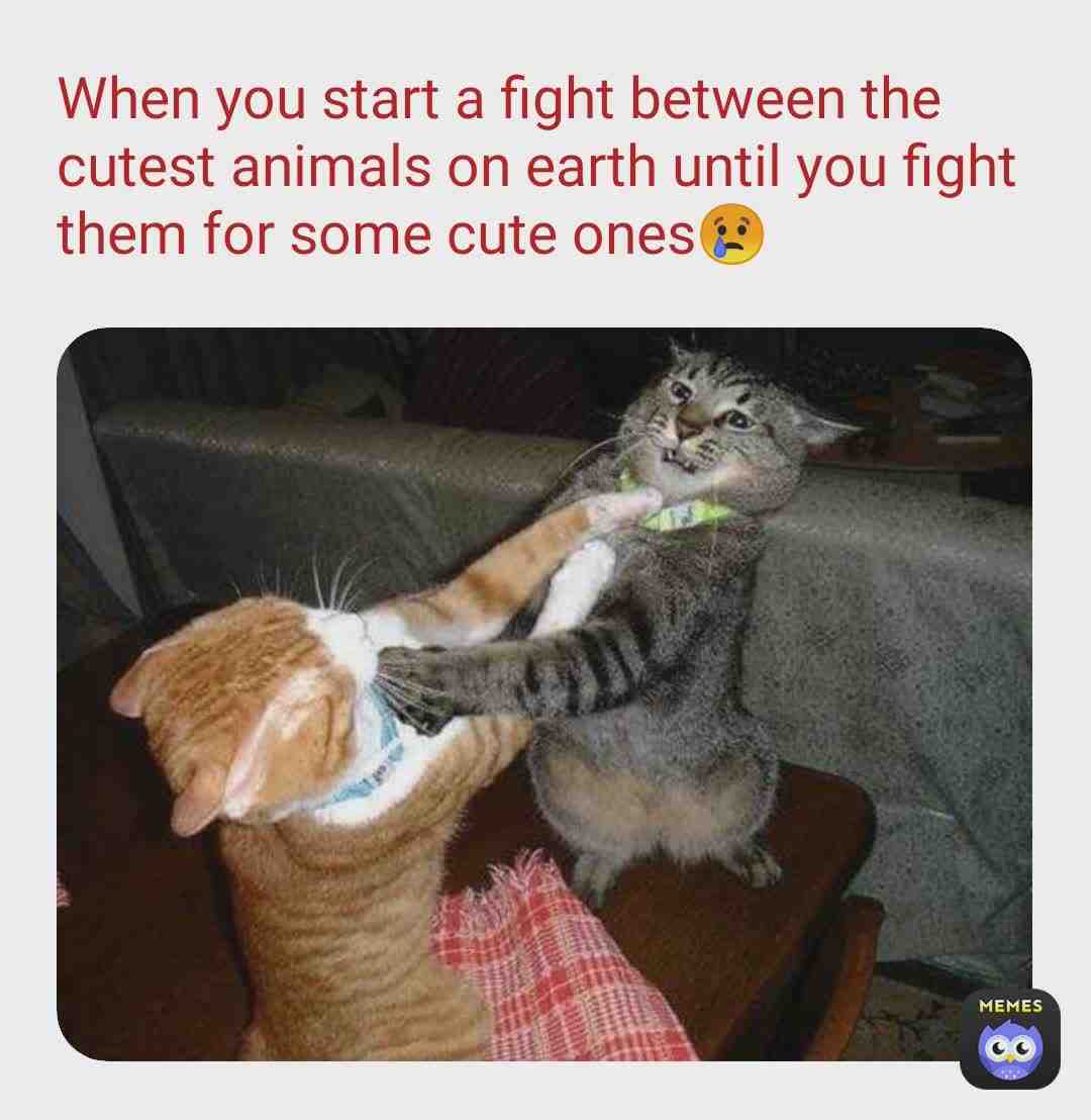 Meme preview