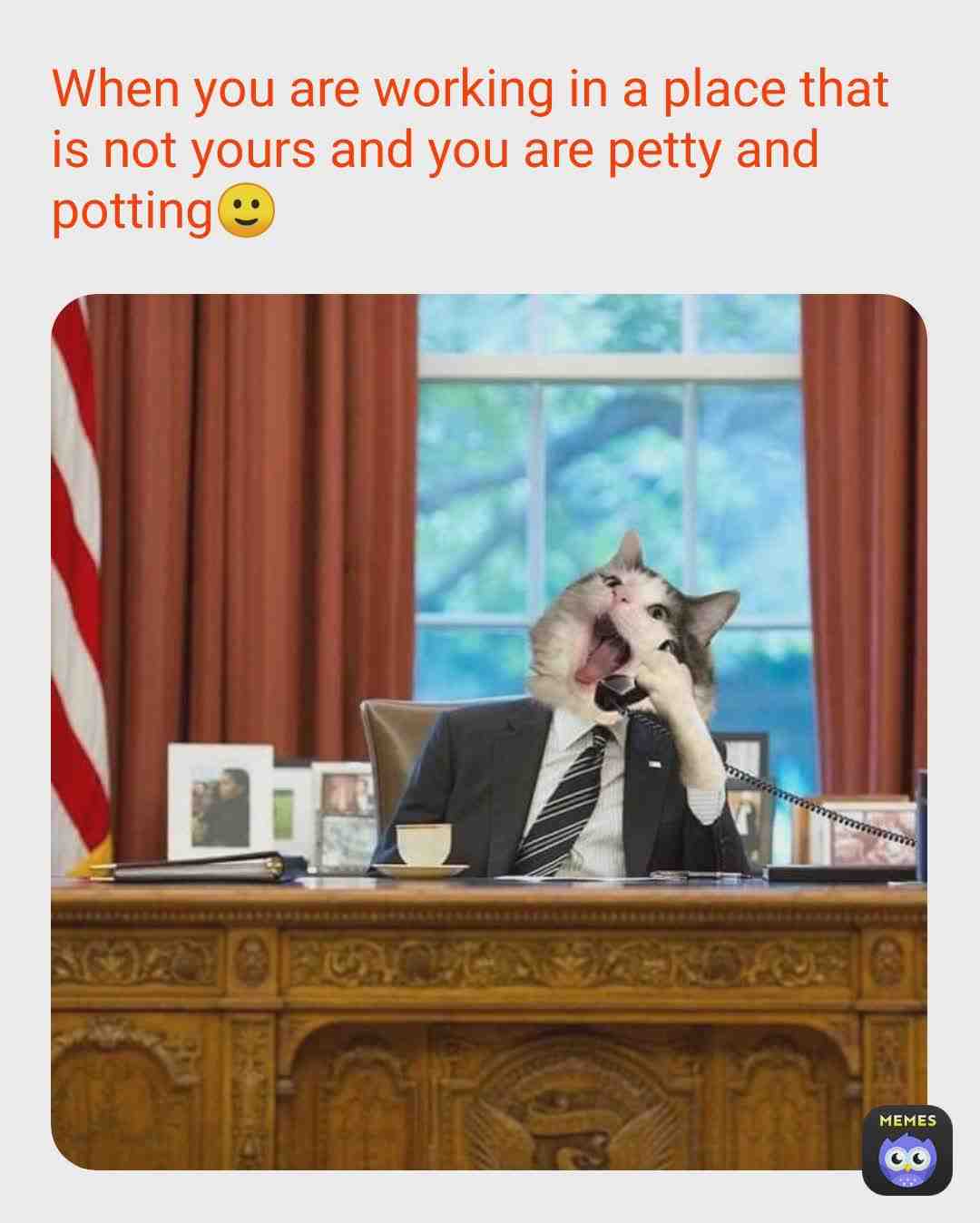 Meme preview
