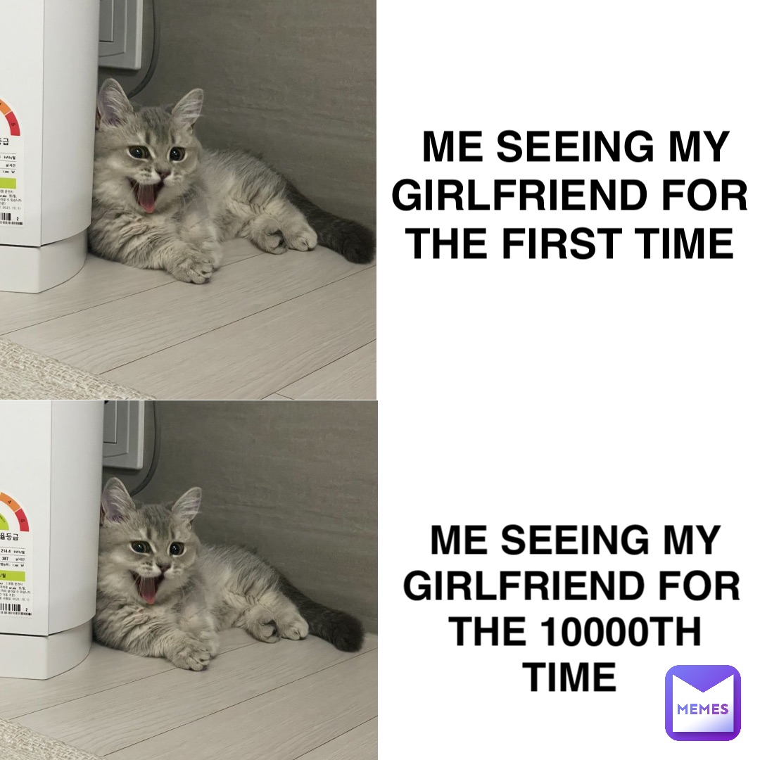 Me seeing my girlfriend for the first time Me seeing my girlfriend for the 10000th time