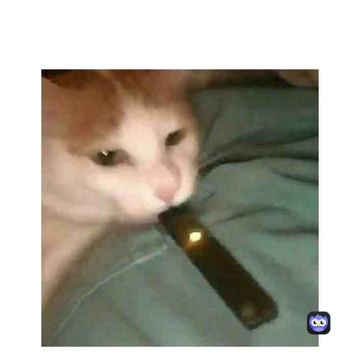yes  ​ #Dink  #cursedimages