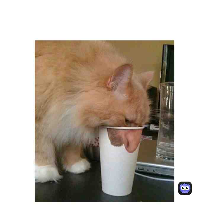 yes  ​ #Dink  #cursedimages