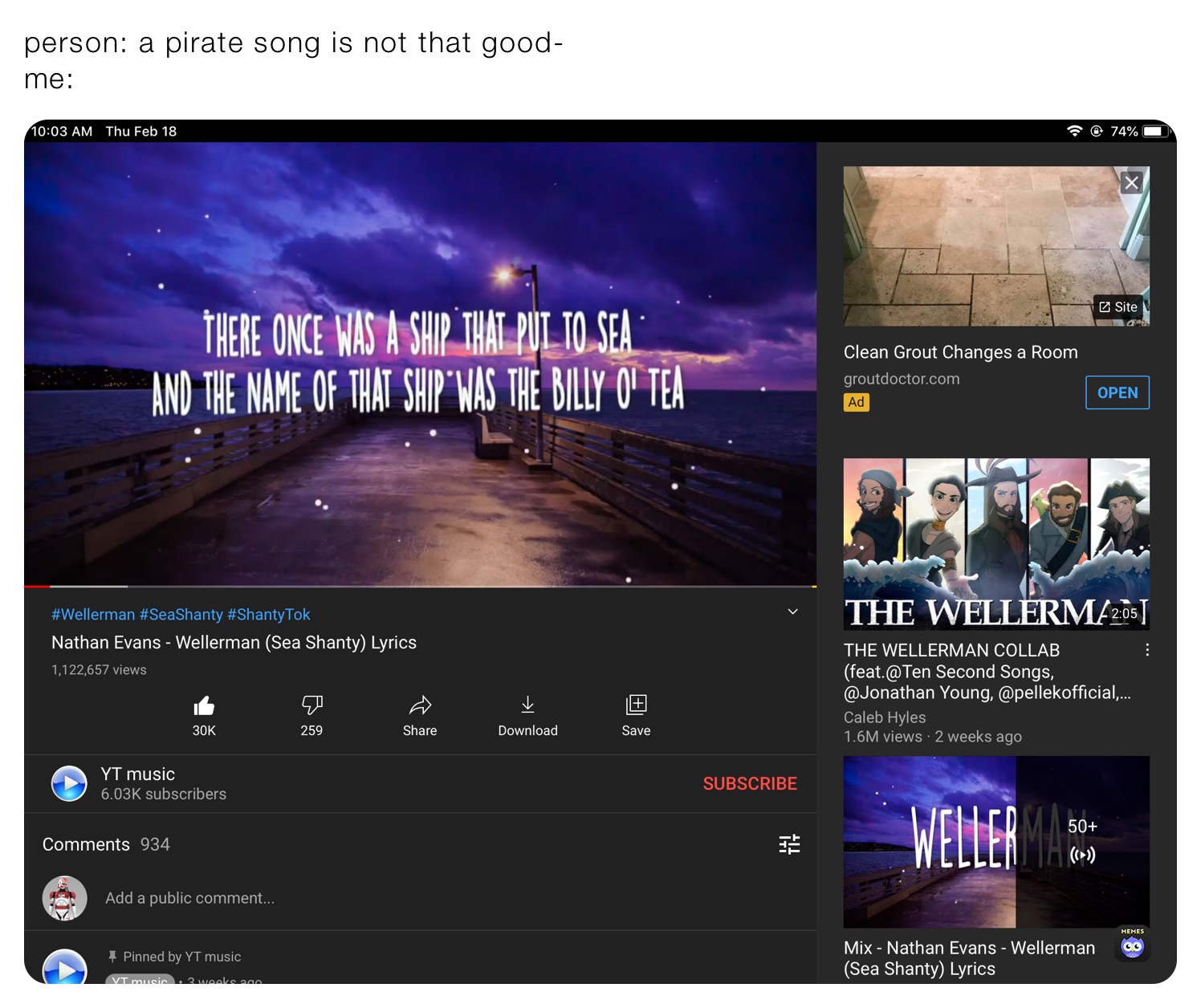 person: a pirate song is not that good-
me: