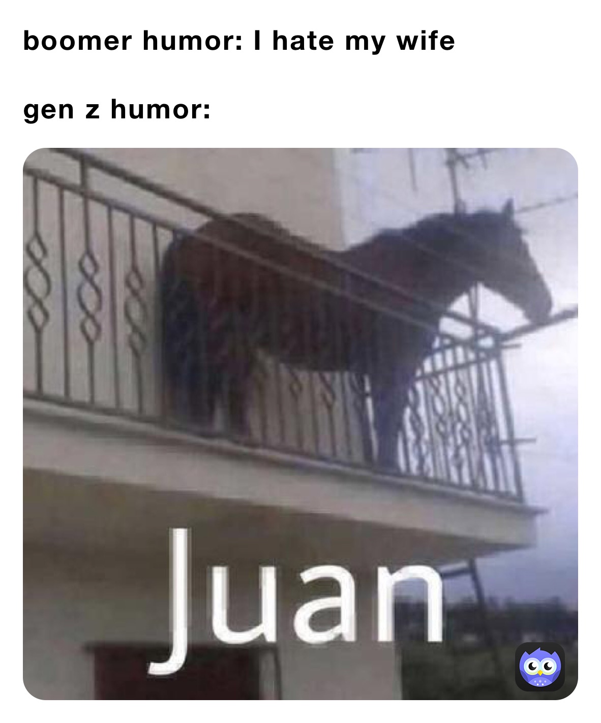 boomer humor: I hate my wife

gen z humor: