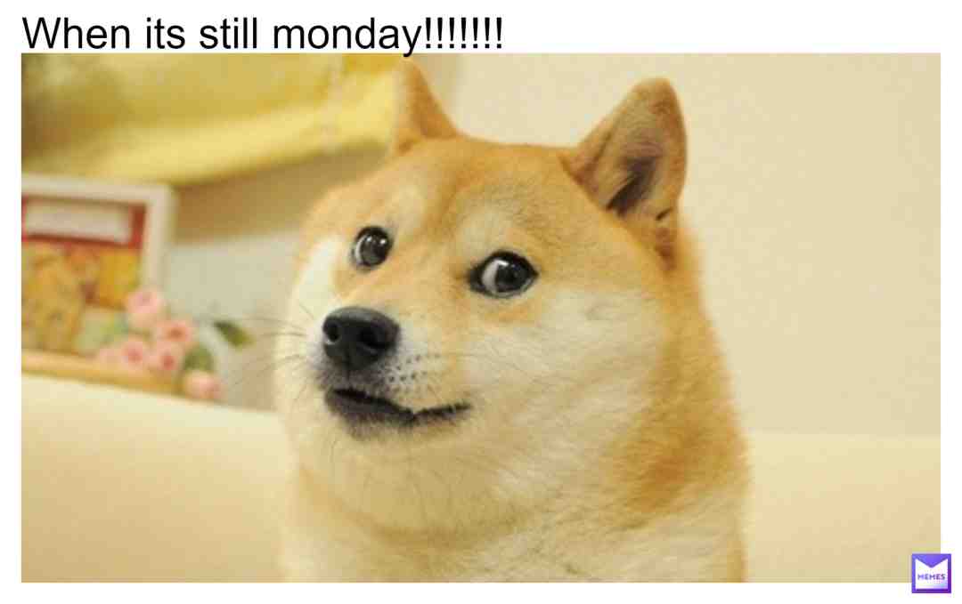 #Moday #vibes