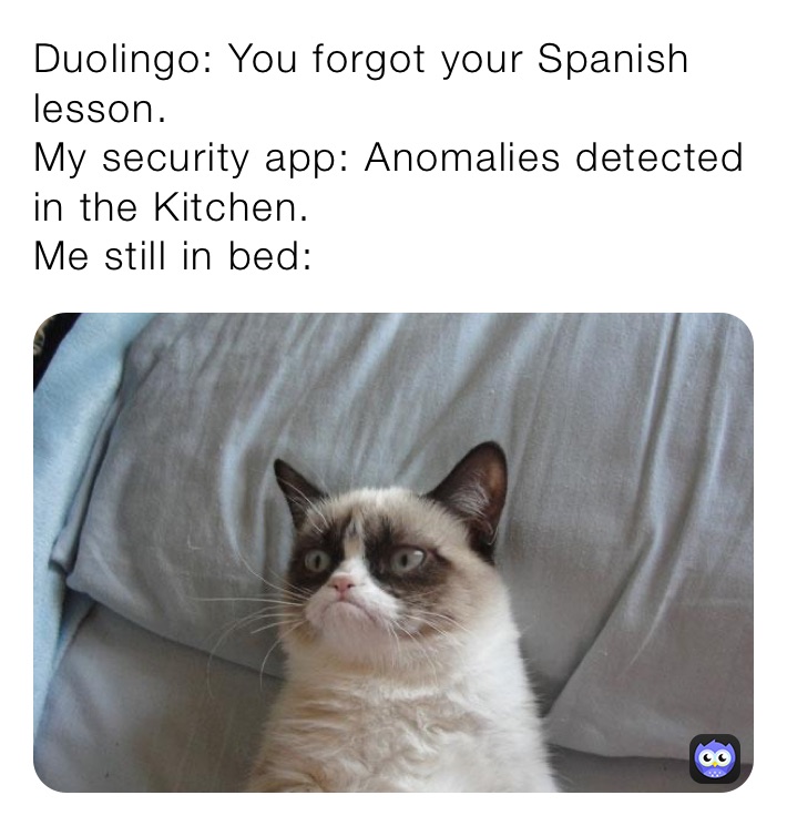Duolingo: You forgot your Spanish lesson.
My security app: Anomalies detected in the Kitchen.
Me still in bed: