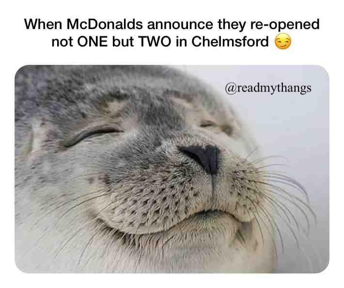 The simple things 🍔 #food #memes #bigmac #fries #mcdonalds #eat #hangry #whatyousaying