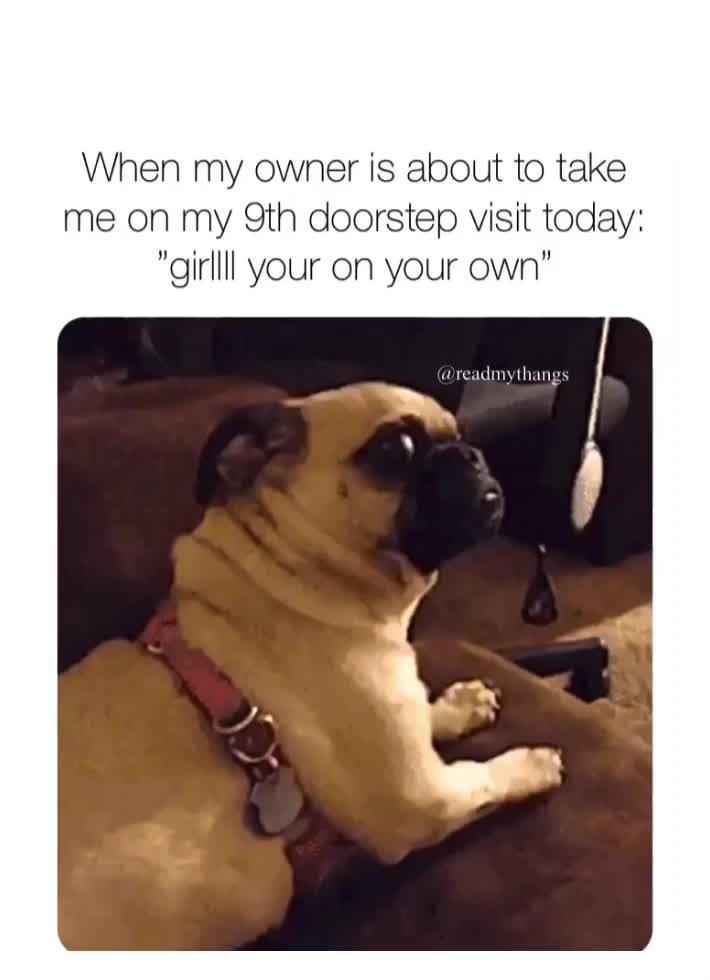 Meme preview