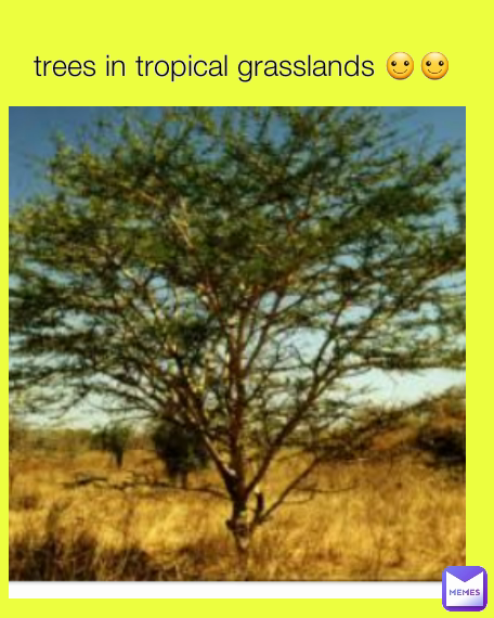 Meme by vikas.sharma200480