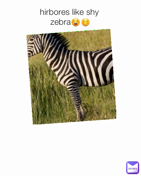 hirbores like shy 
zebra😁😊