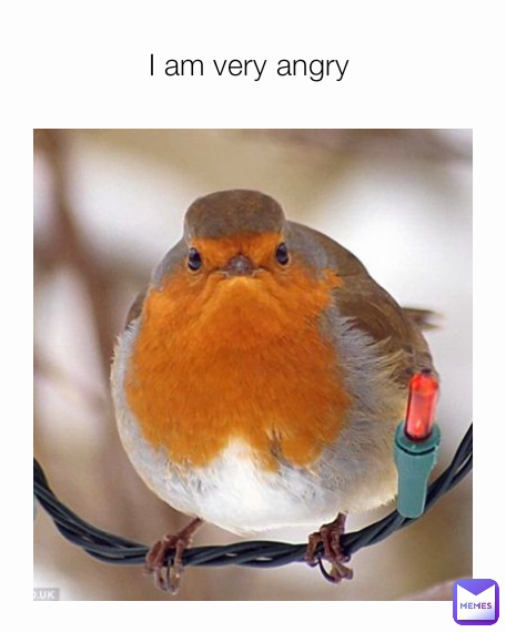 Meme by vikas.sharma200480