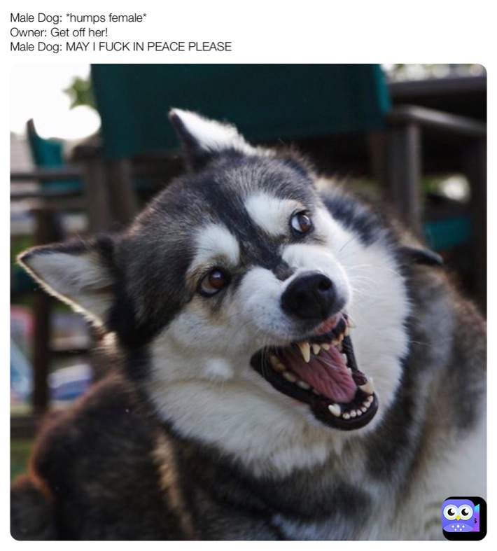 Meme by Unicorn_Corgie_2.0