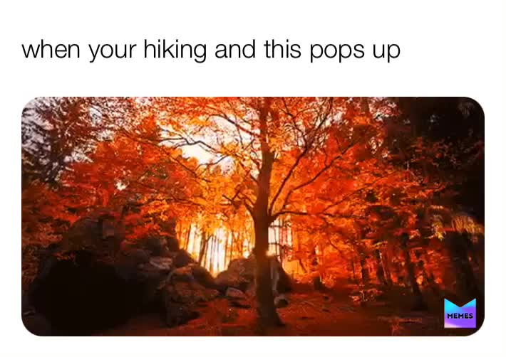 Hiking
