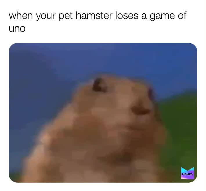 Meme preview