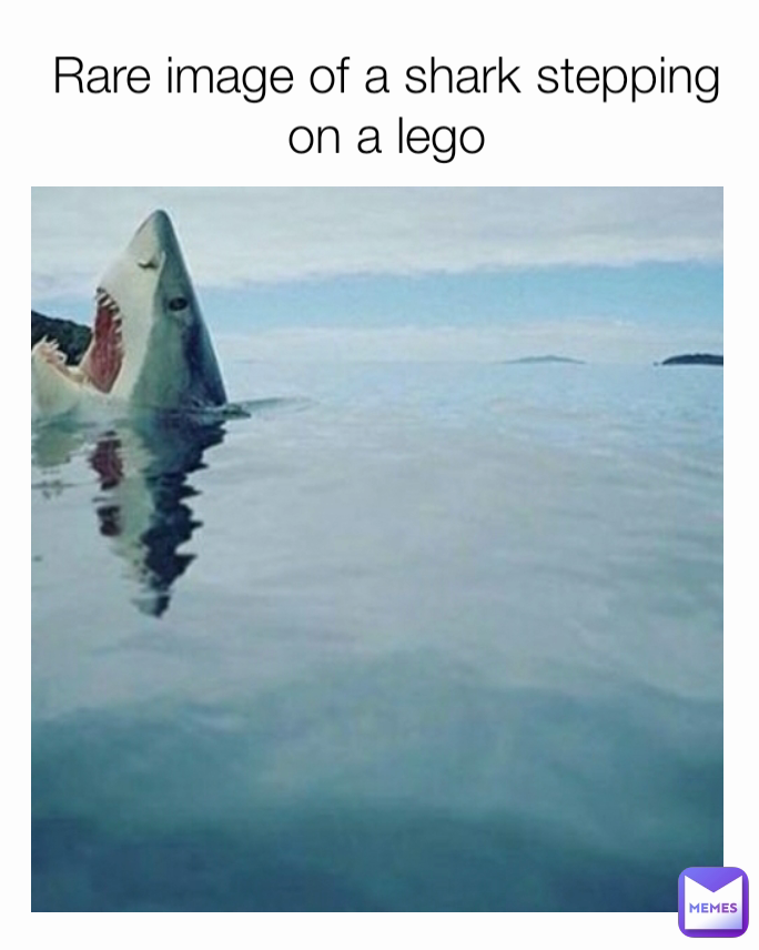 Rare image of a shark stepping on a lego