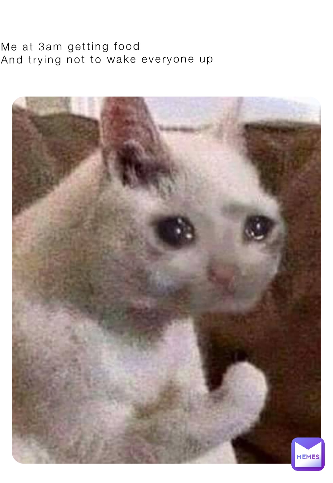 Me at 3am getting food 
And trying not to wake everyone up