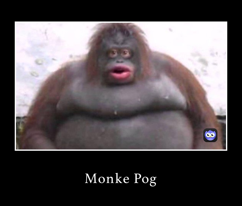 Monke Pog
