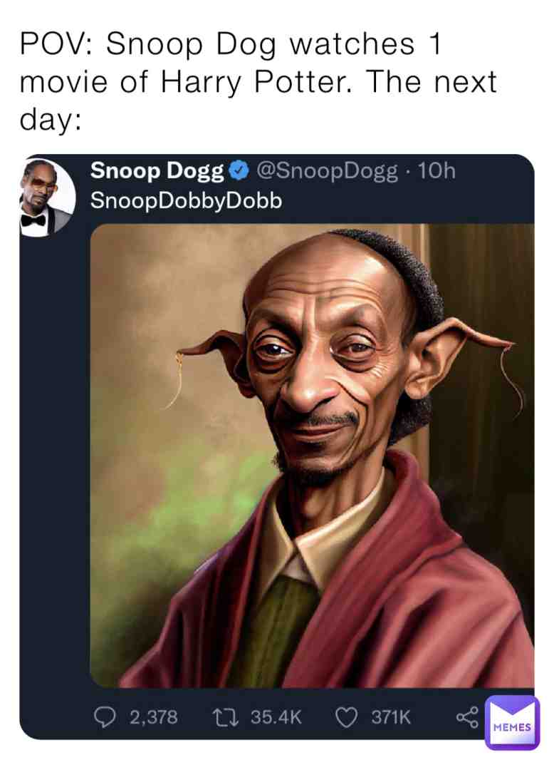 Meme shared by @POVmaster17