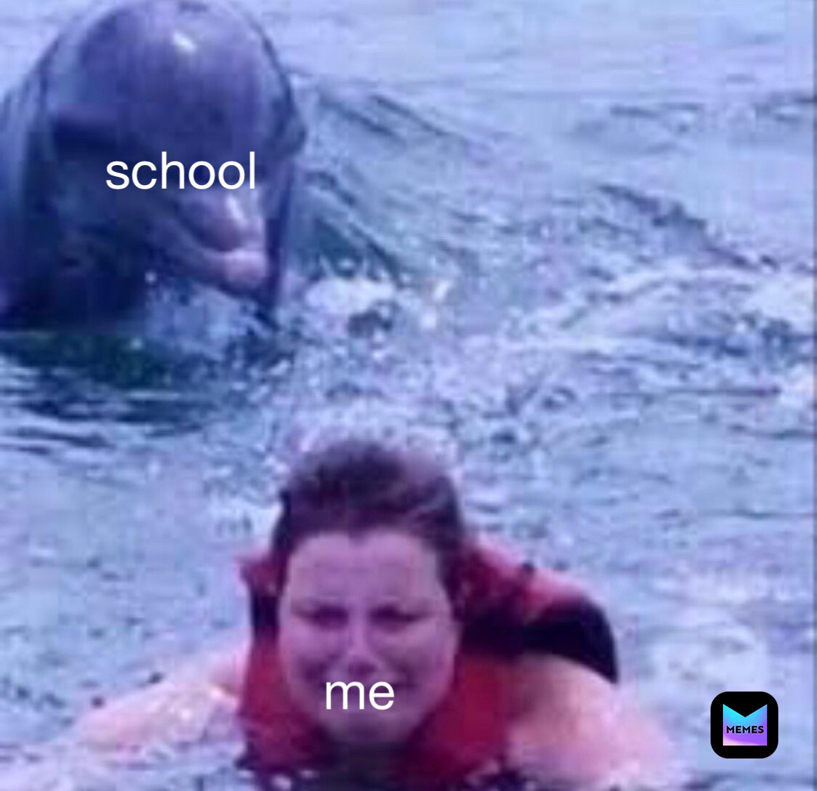 school me