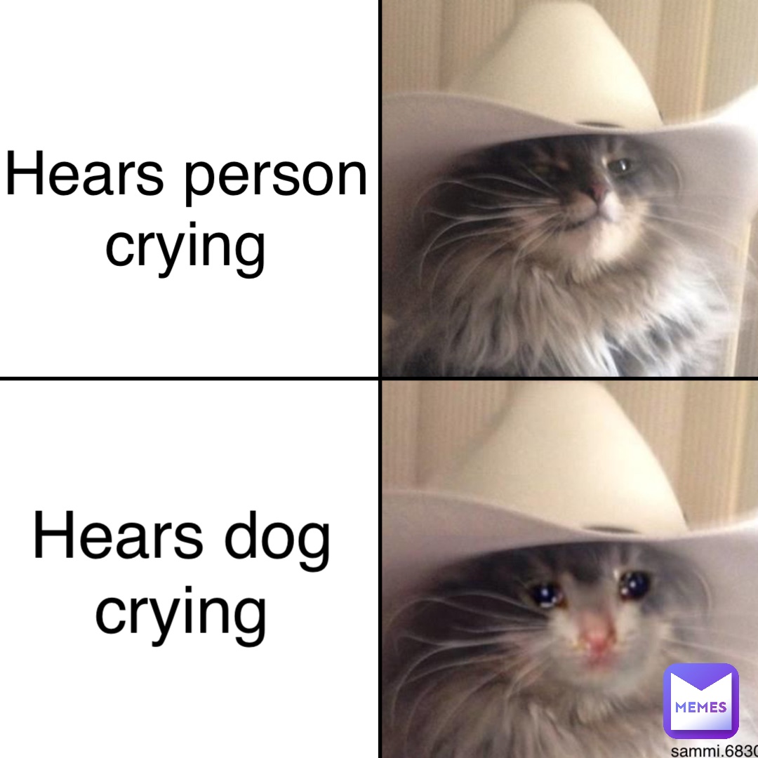 Hears person crying Hears dog crying