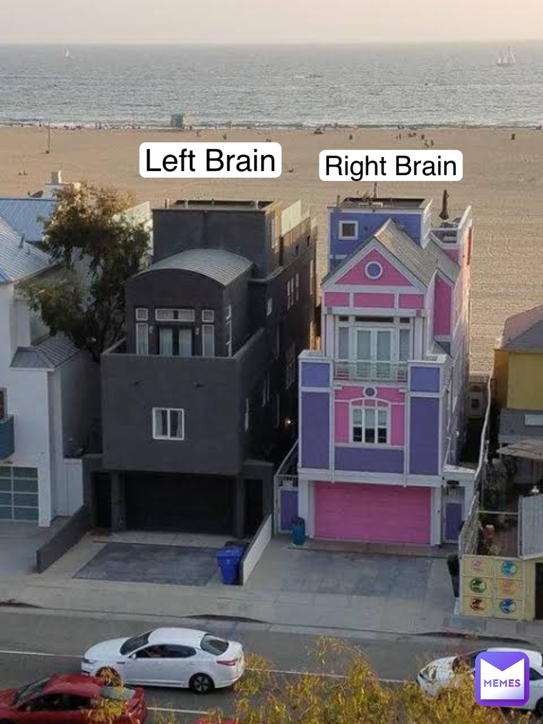 Left Brain Right Brain