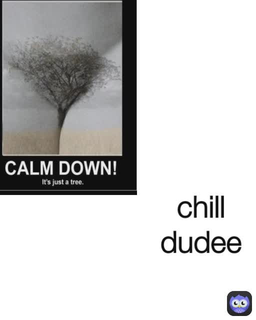 chill dudee