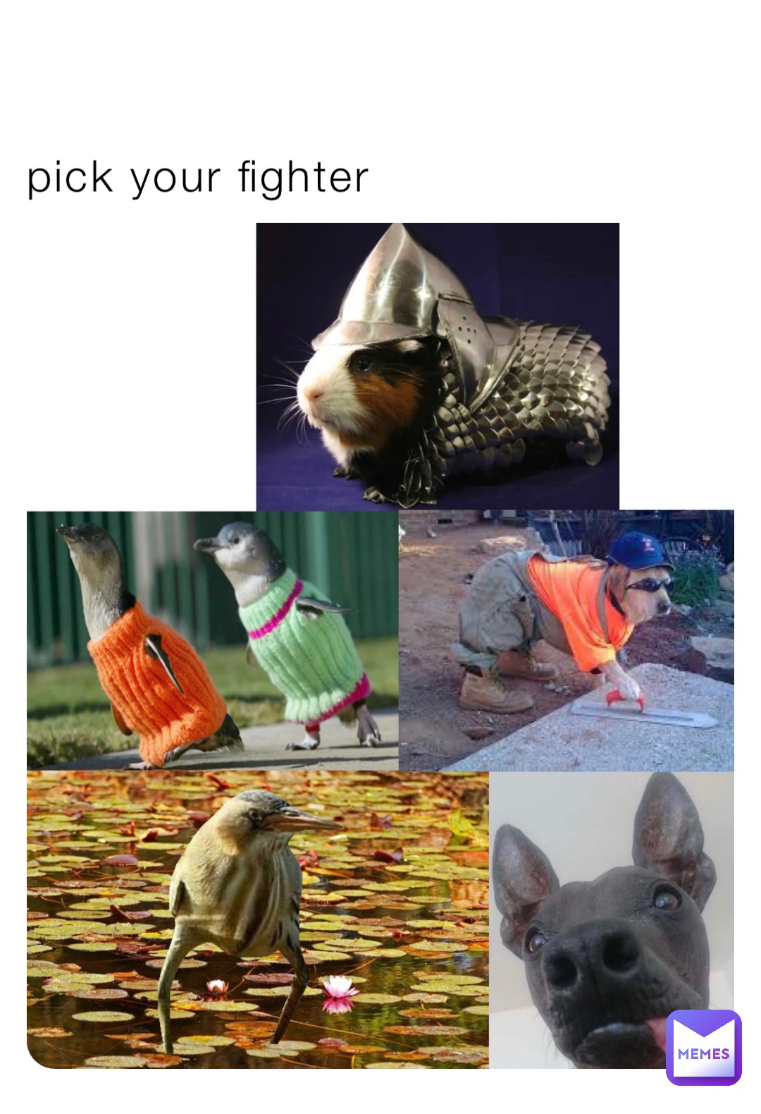 pick your fighter