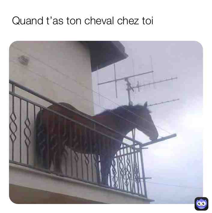 Vous aimez les chevaux ?👀🐺