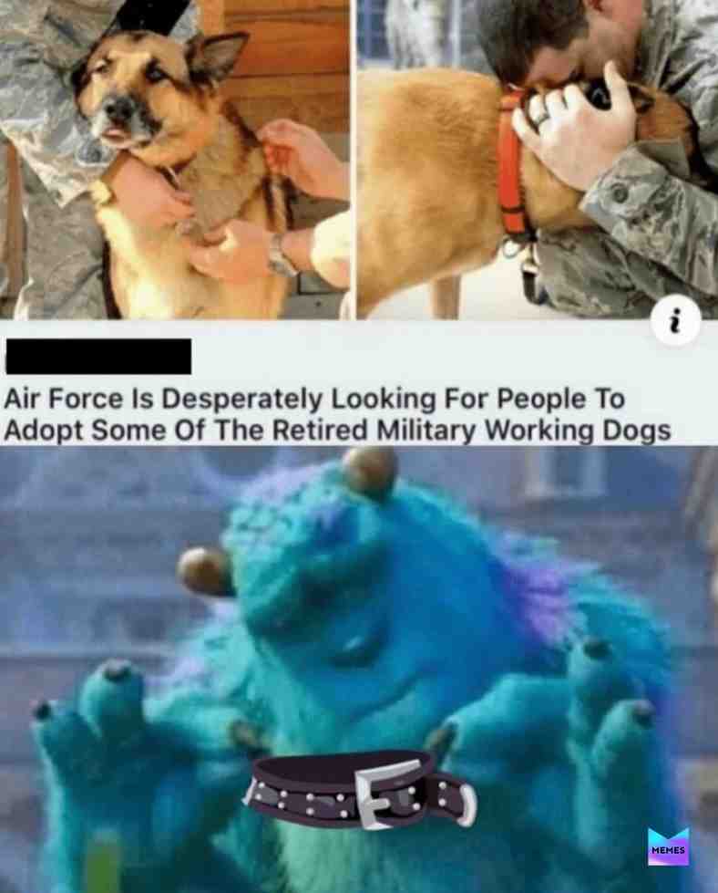 Gunna get me one #monstersinc #dogs #military