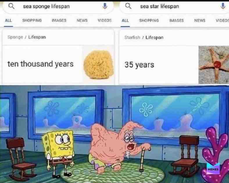 Wow #spongebob #old #young