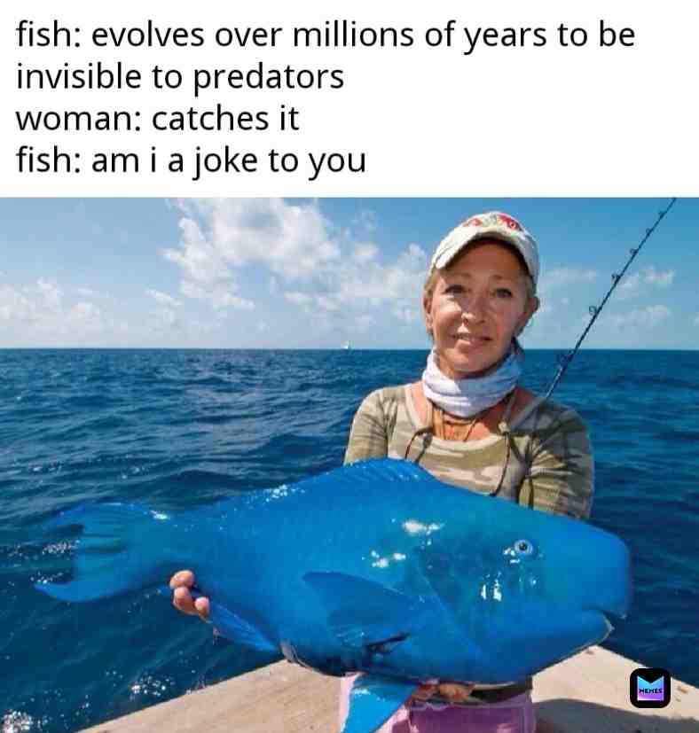 Am I a joke to you #fish #camo