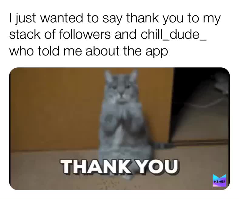 Thank you all  #minecraft  #cat