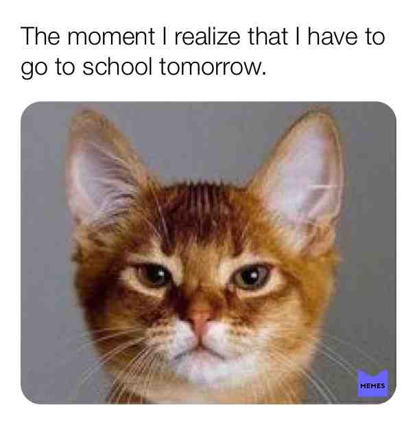 Meme shared by @1234567891011121314151617181910