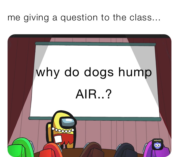 me giving a question to the class... why do dogs hump air..?