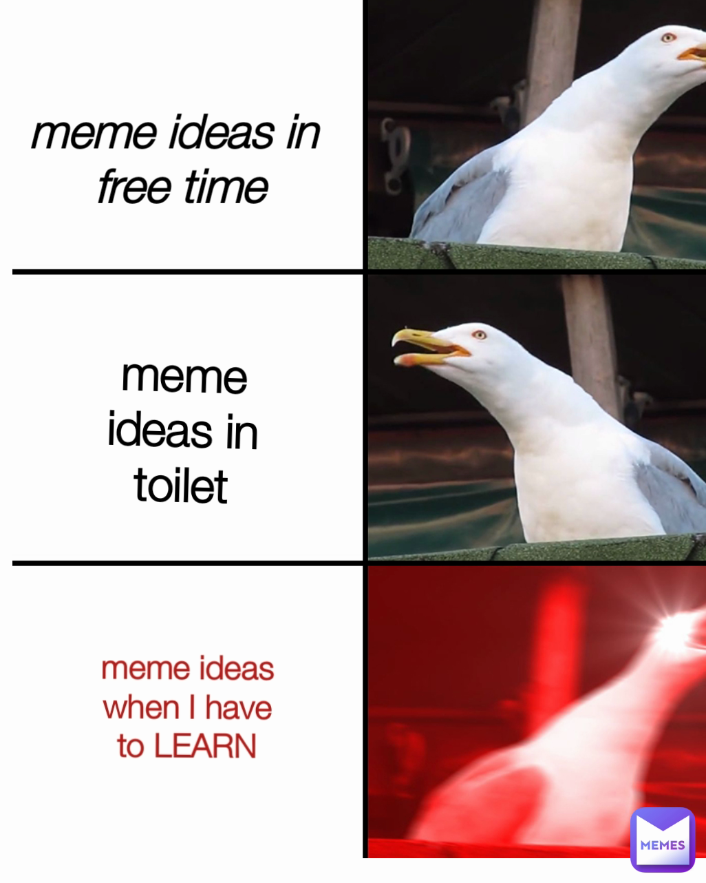 meme ideas in 
free time meme ideas in toilet meme ideas when I have to LEARN