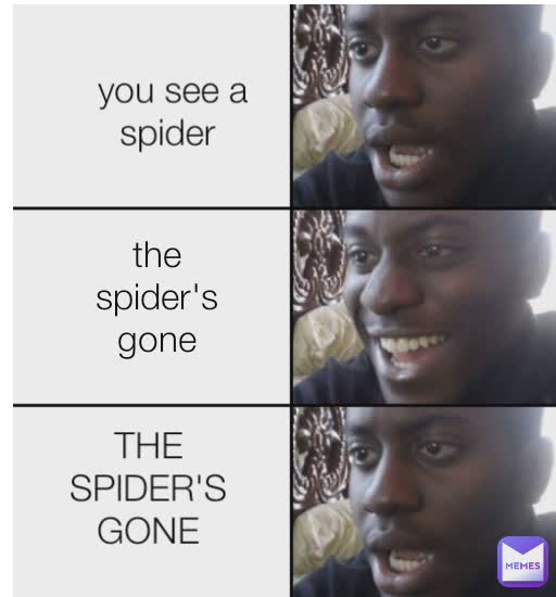 you see a spider  you see a spider  the spider's gone you see a spider  the spider's gone
 THE SPIDER'S GONE
