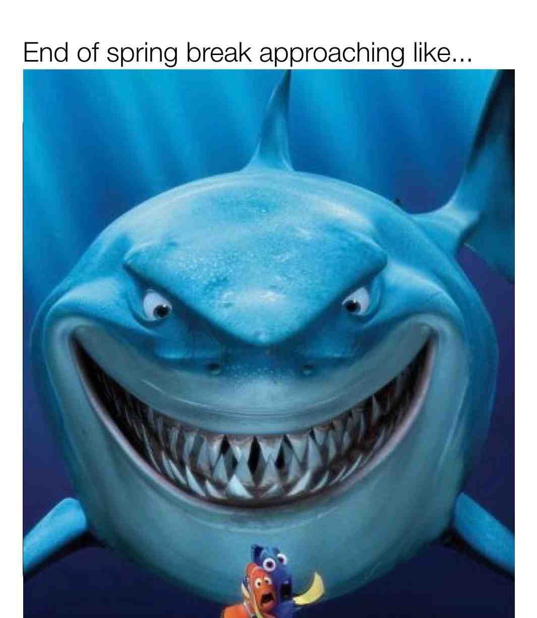 Meme shared by @andrewtmcgee