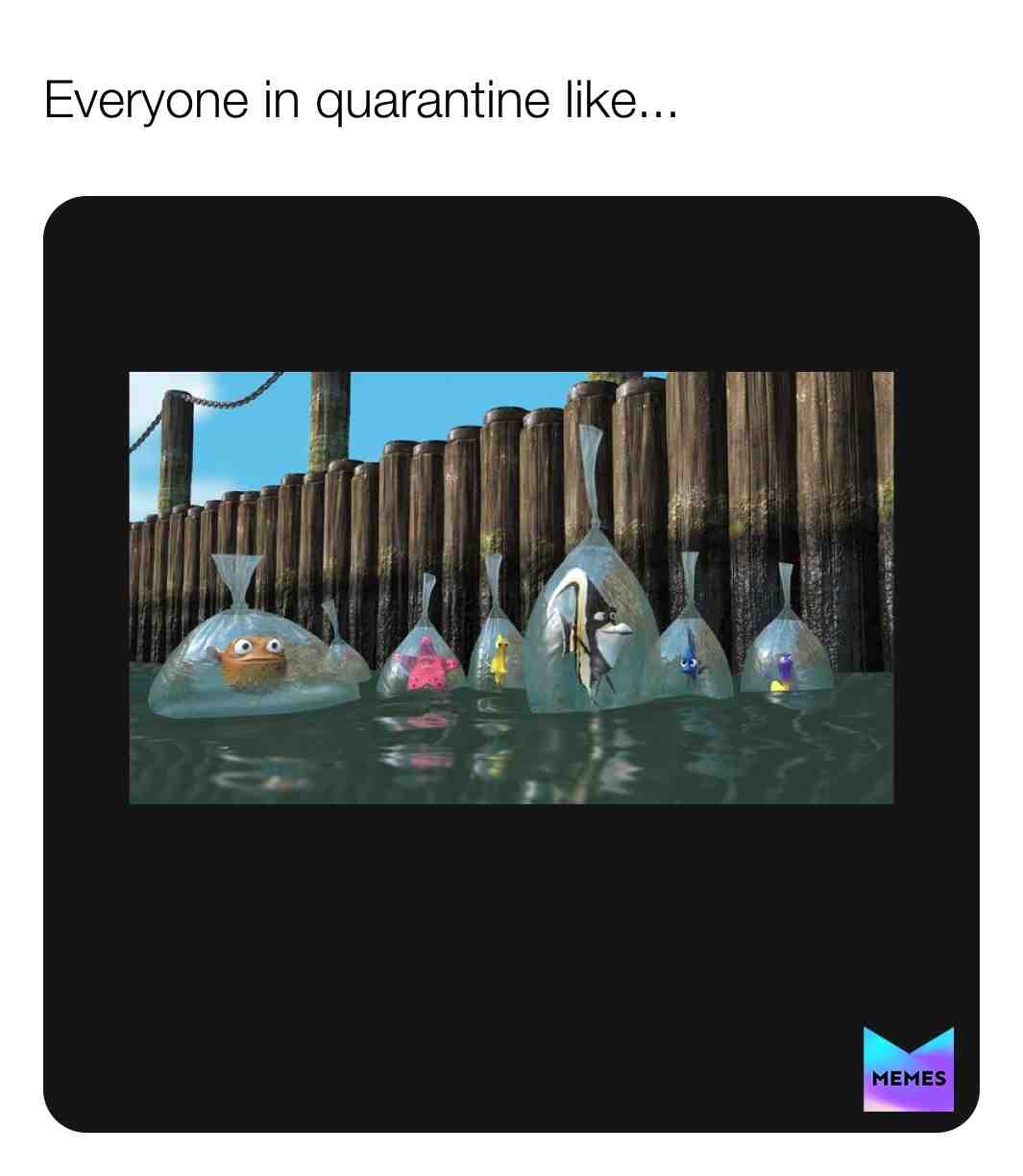 #findingnemo  #🐠