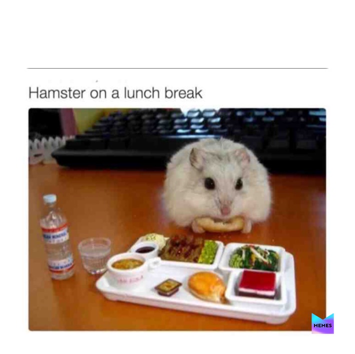 Meme by Danie_Boy_MEMEMSSSSS