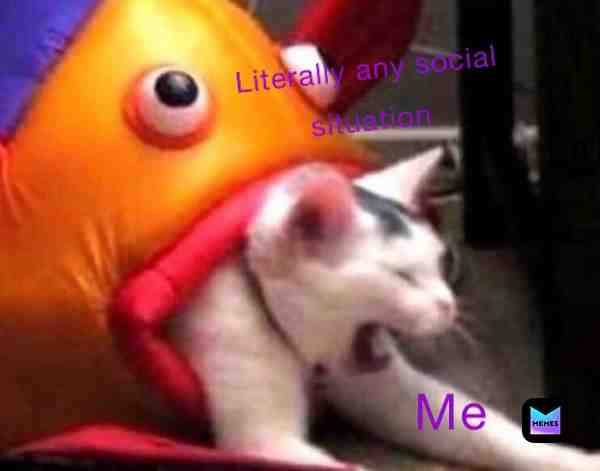 #antisocial #catmemes #idontknowhowtousehashtags