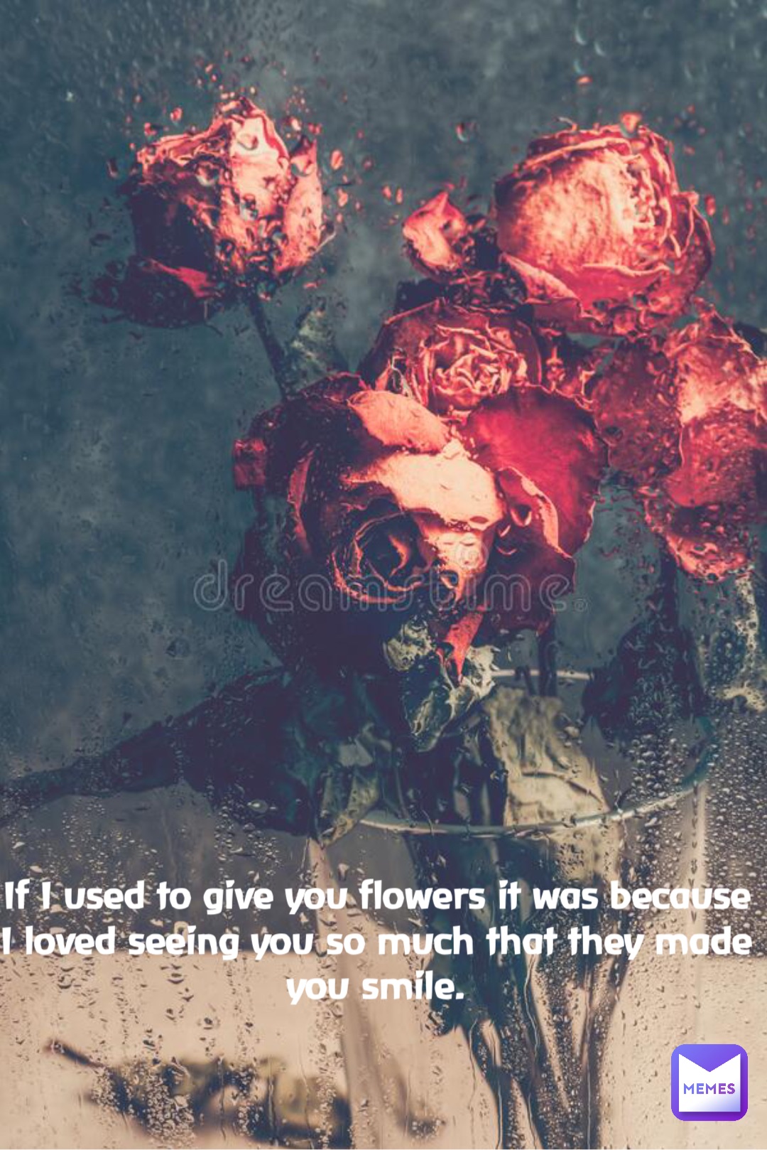 If I used to give you flowers it was because I loved seeing you so much that they made you smile.