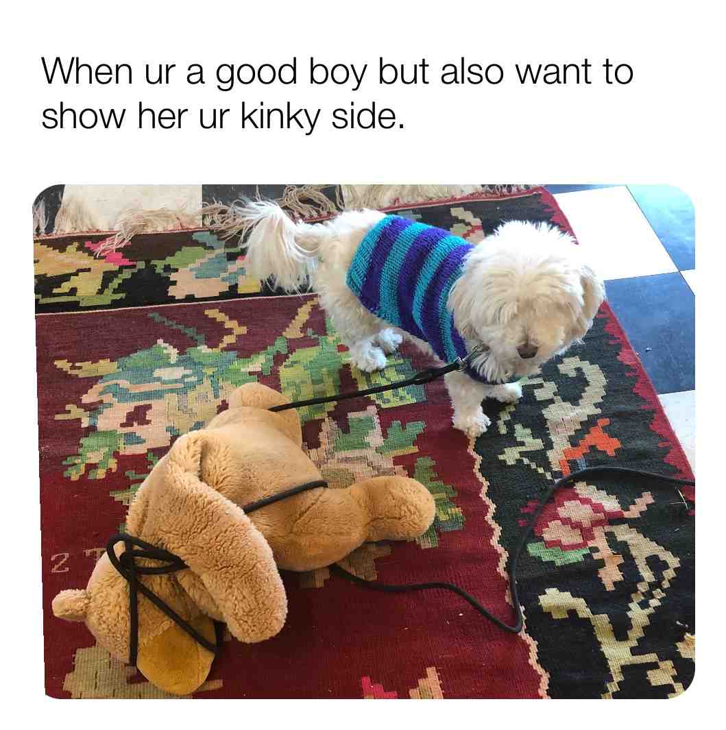 Meme shared by @MemeGodCatrick