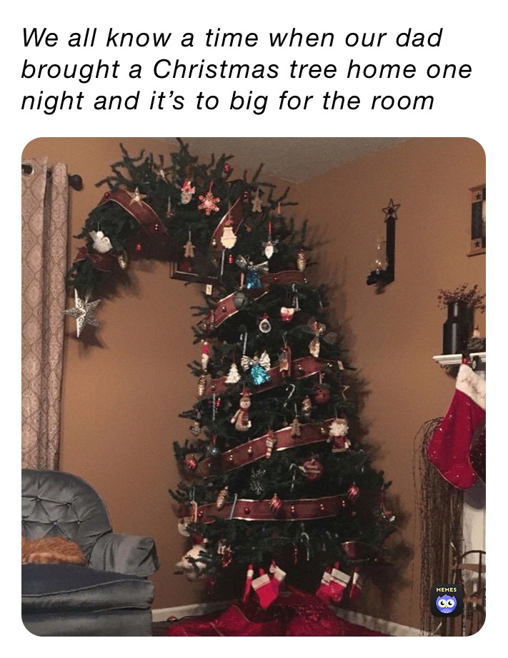 We all know a time when our dad brought a Christmas tree home one night and it’s to big for the room 