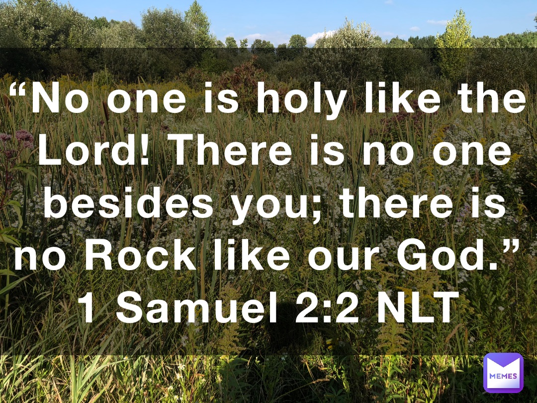 “No one is holy like the Lord! There is no one besides you; there is no Rock like our God.”
‭‭1 Samuel‬ ‭2‬:‭2‬ ‭NLT