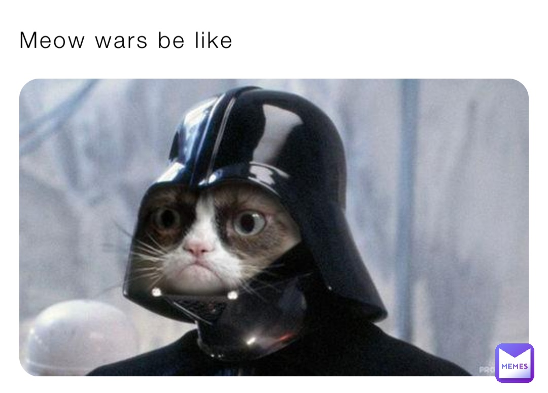 Meow wars be like