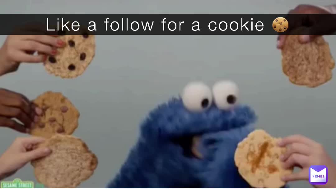 Like a follow for a cookie 🍪 | @Meow_Memes | Memes