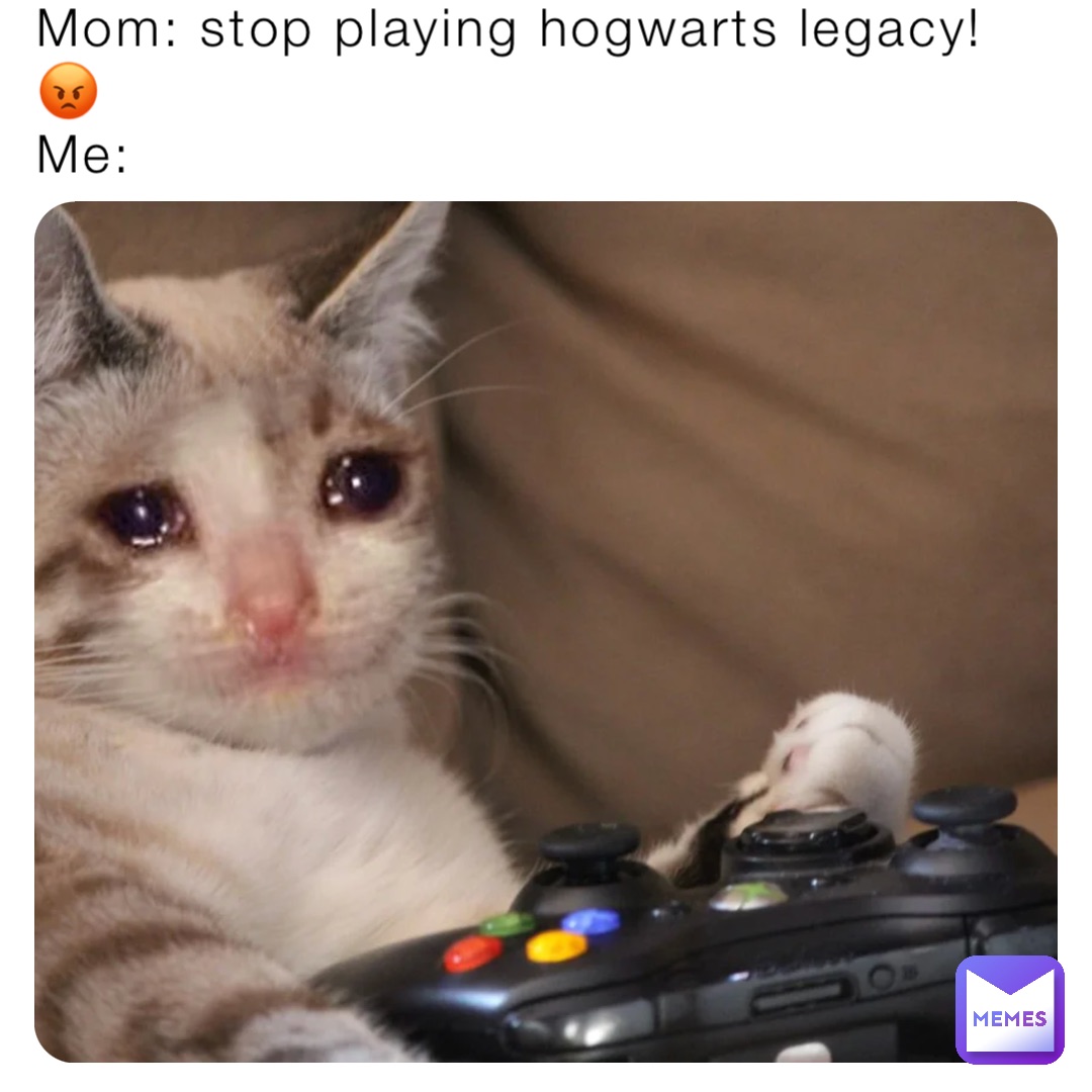 Mom: stop playing hogwarts legacy!😡
Me: