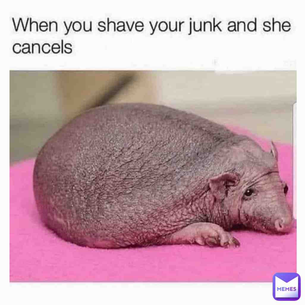 Meme shared by @Doc.Meme