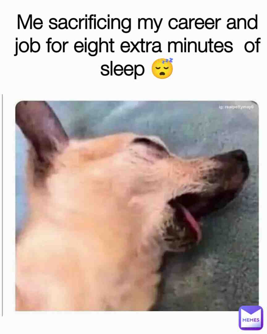 Meme shared by @Doc.Meme