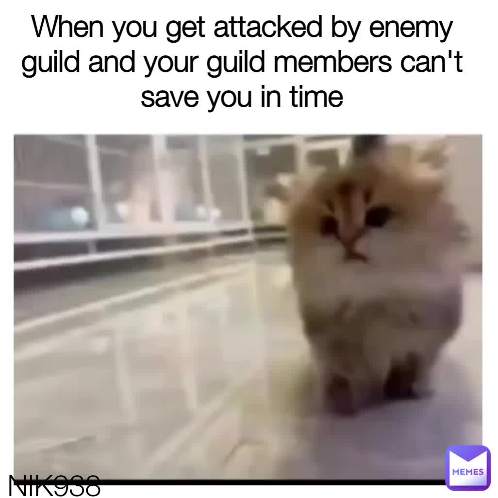 Meme shared by @Doc.Meme