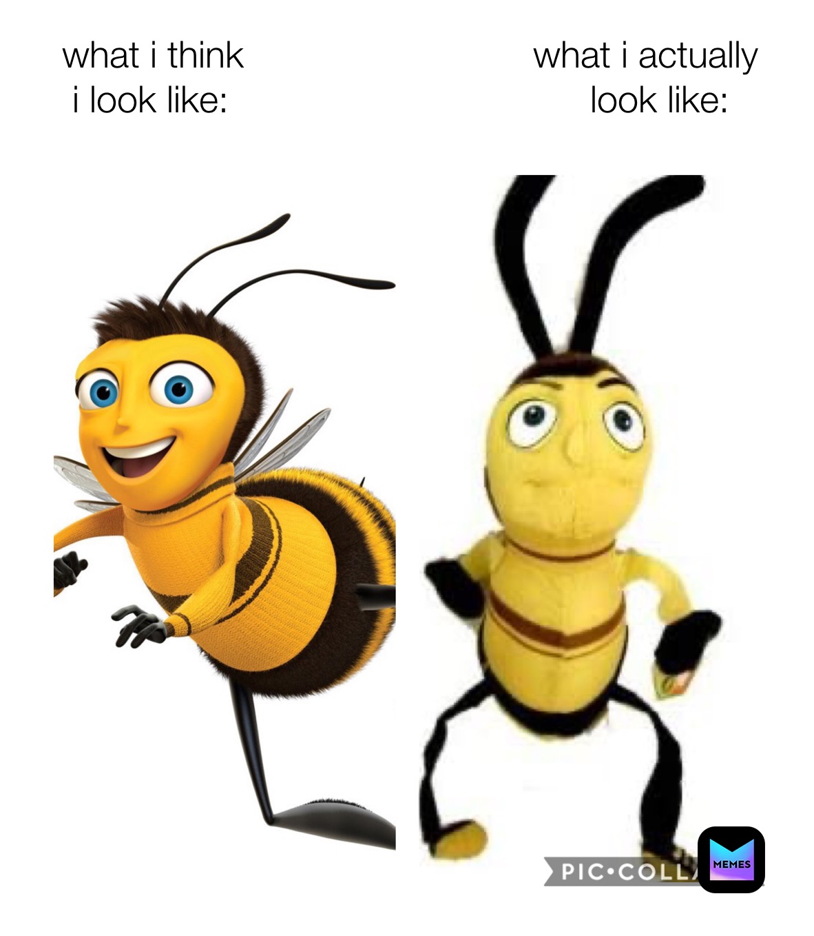 Meme by stinky_tampons